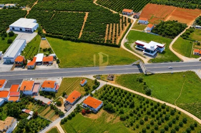 Terreno para Venda em Almancil