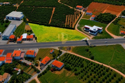 Terreno para Venda em Almancil