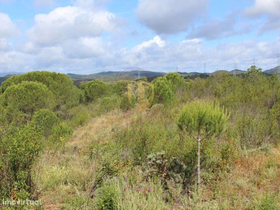 Quinta T0 para Venda em São Bartolomeu de Messines Foto 4