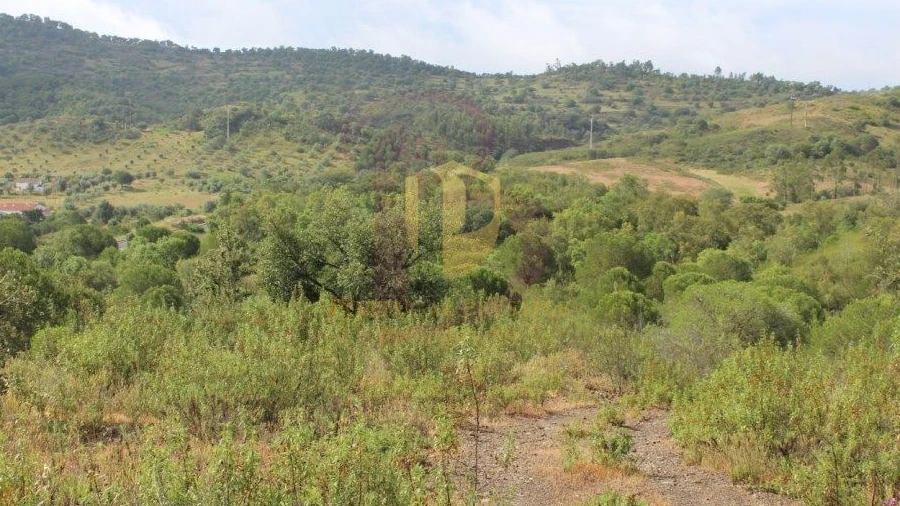 Quinta T0 para Venda em São Bartolomeu de Messines