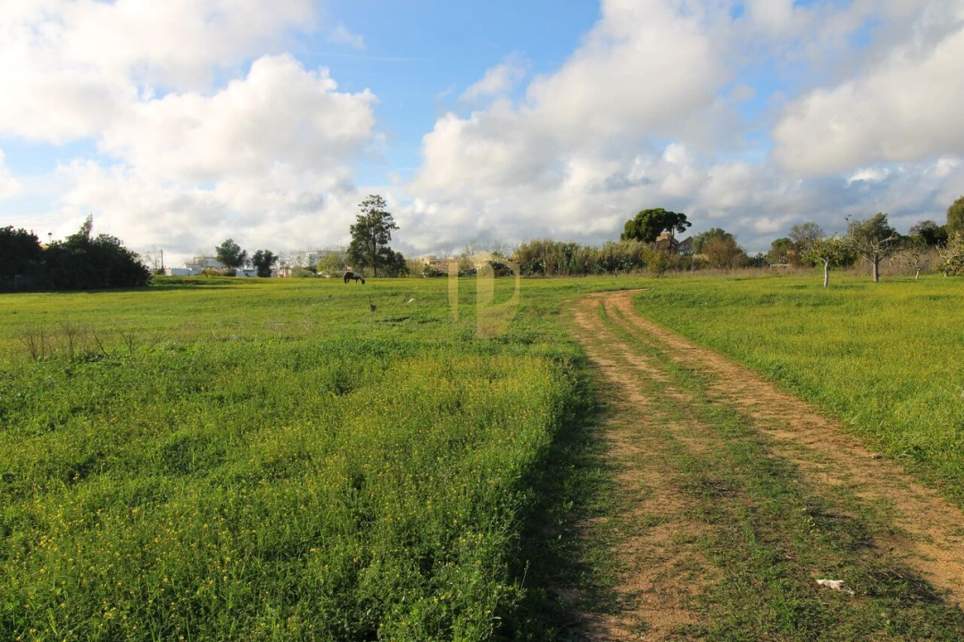 Terreno para Venda em Quelfes Foto 9