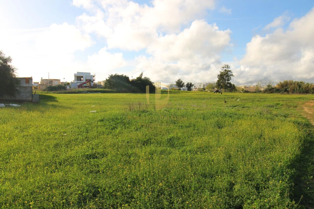 Terreno para Venda em Quelfes Foto 10