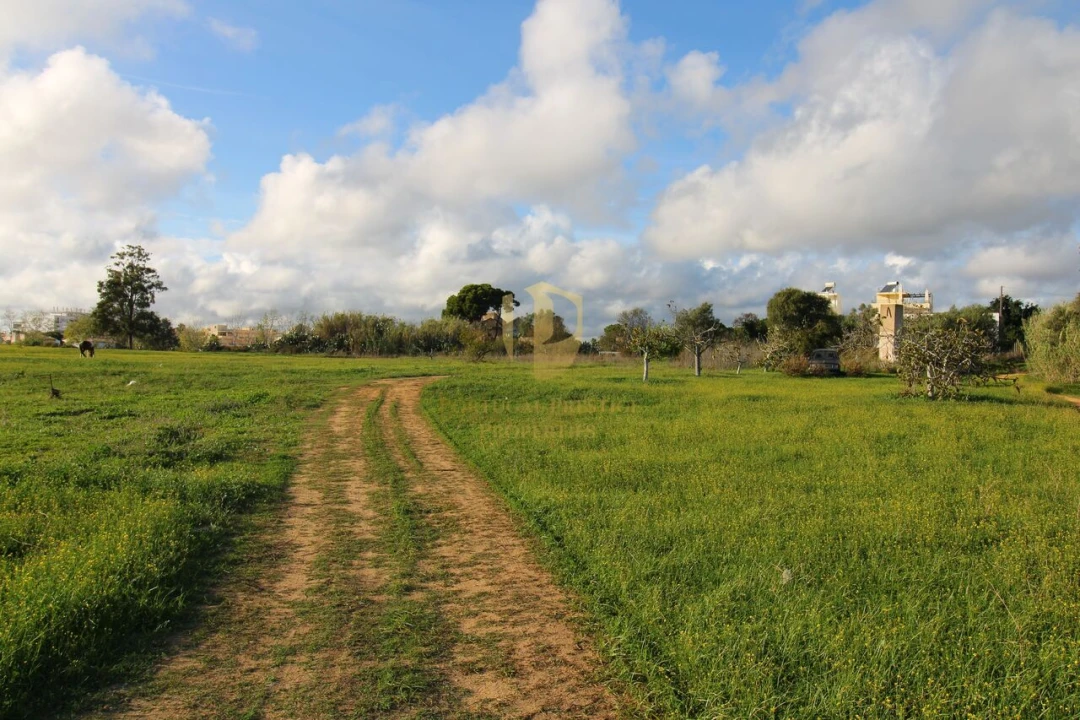 Terreno para Venda em Quelfes Foto 13