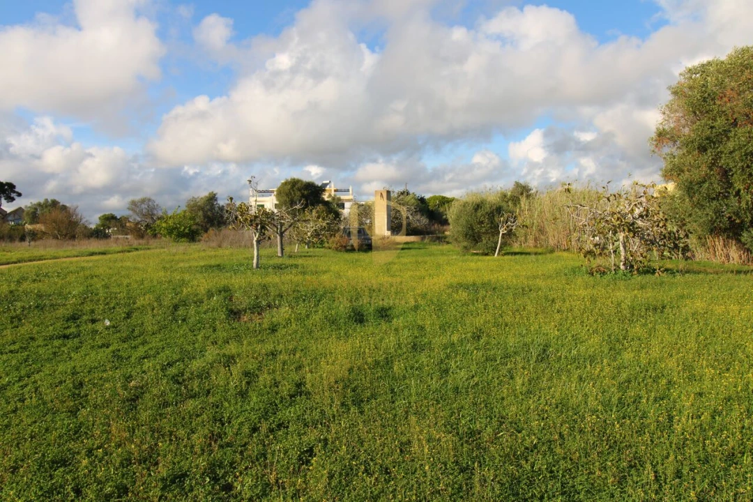 Terreno para Venda em Quelfes Foto 14