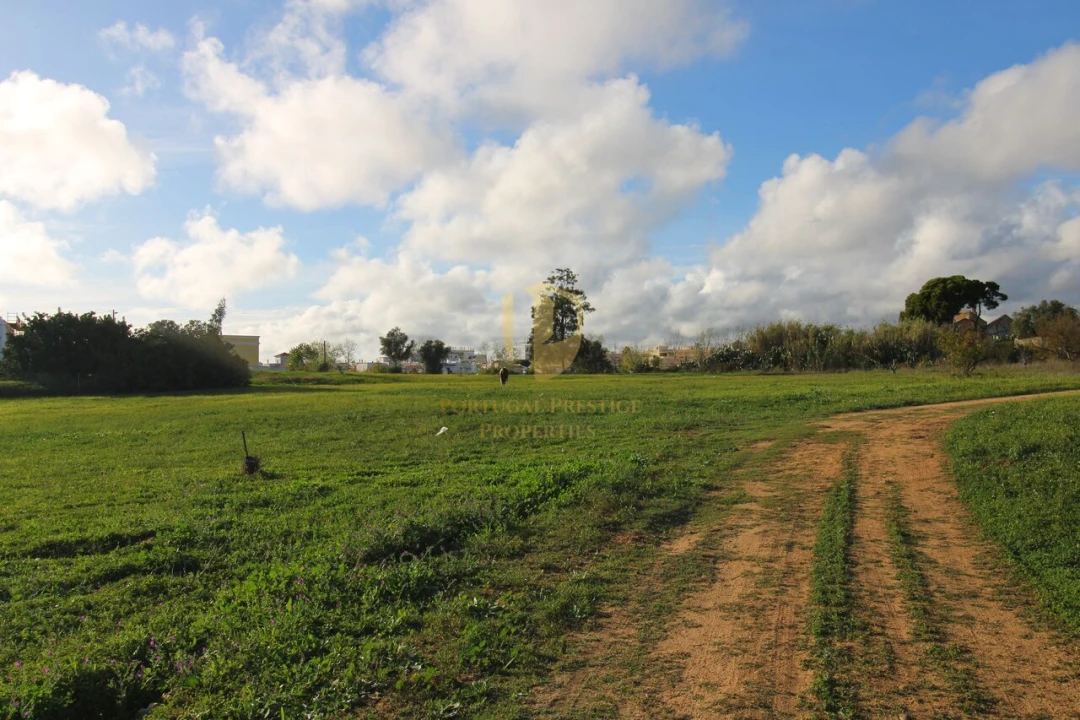 Terreno para Venda em Quelfes Foto 17
