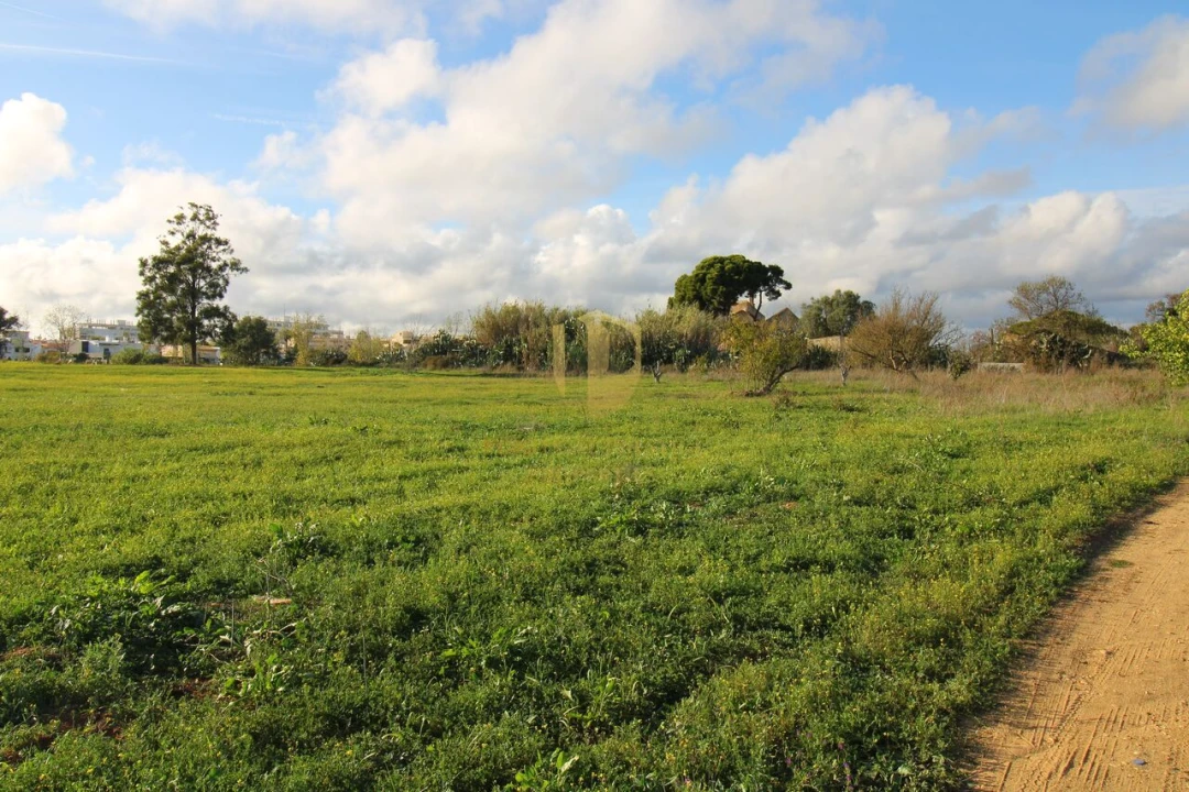 Terreno para Venda em Quelfes Foto 19