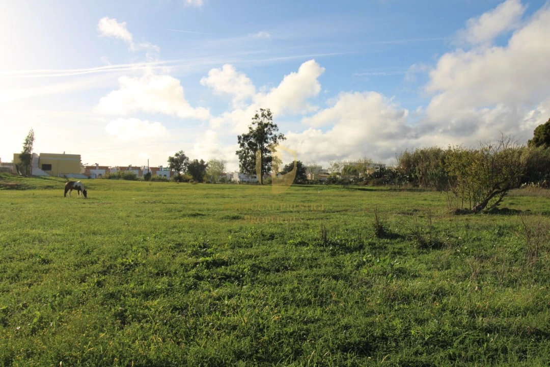 Terreno para Venda em Quelfes Foto 21