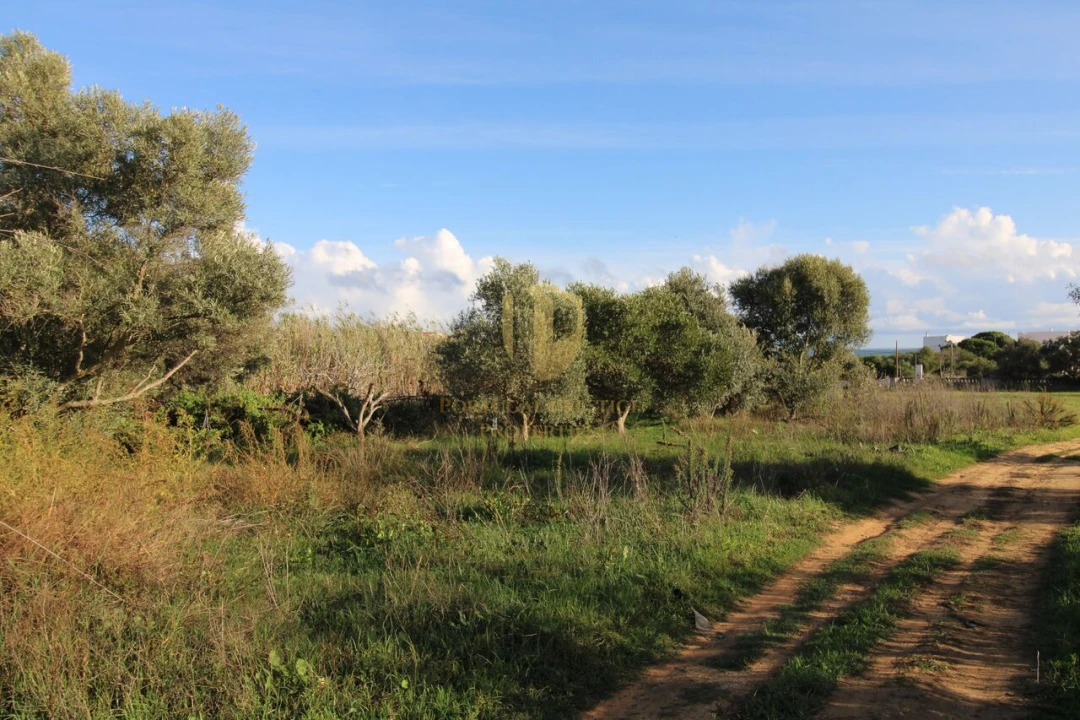 Terreno para Venda em Quelfes Foto 27