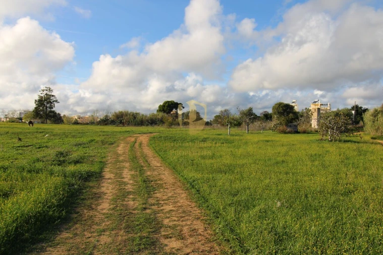 Terreno para Venda em Quelfes Foto 13