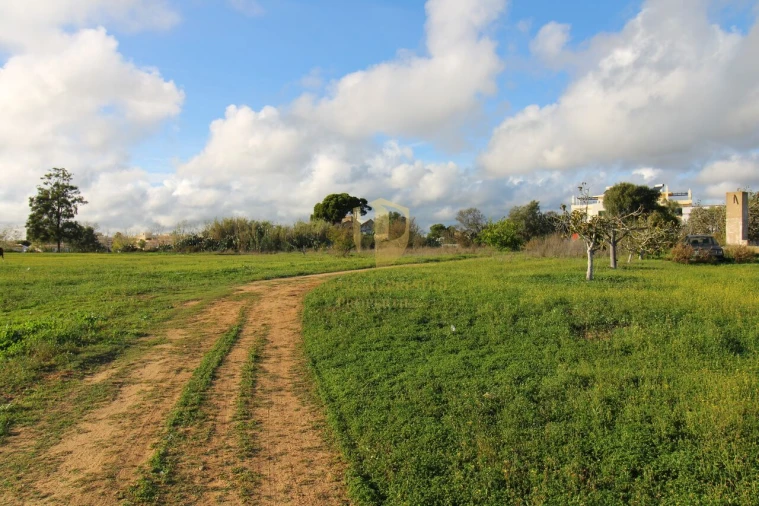 Terreno para Venda em Quelfes Foto 15