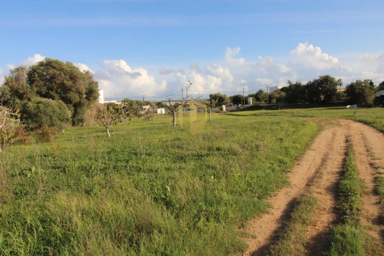 Terreno para Venda em Quelfes Foto 26
