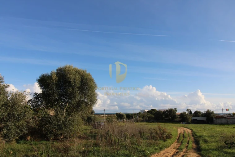Terreno para Venda em Quelfes Foto 28