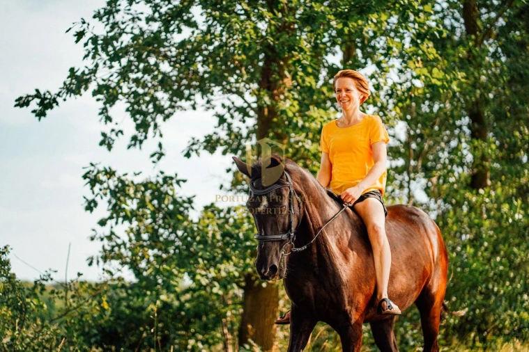 Terreno para Venda em Albufeira e Olhos de Água Foto 16