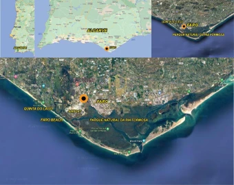 Apartamento T1 para Venda em Montenegro