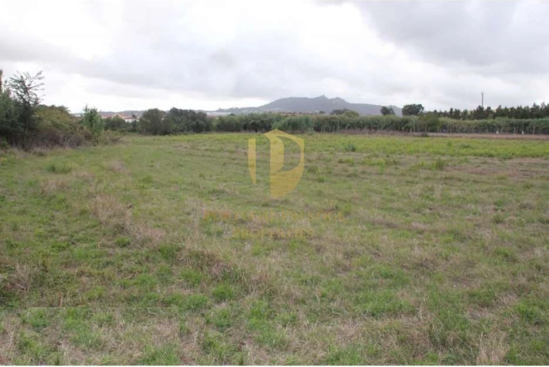 Terreno para Venda em São João das Lampas e Terrugem Foto 2