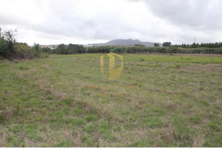 Terreno para Venda em São João das Lampas e Terrugem Foto 2