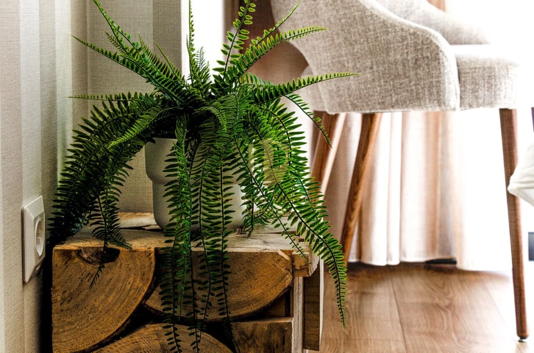 Apartamento T3 para Venda em Vila Real de Santo Antonio Foto 39