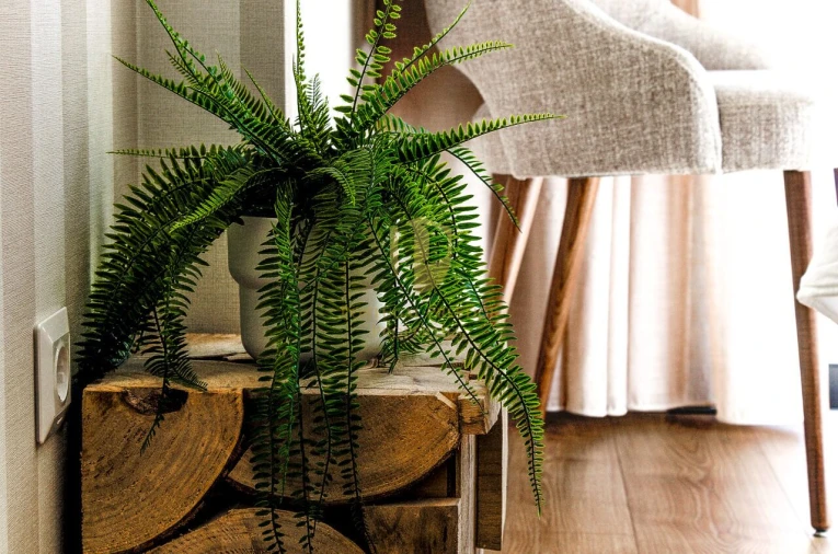 Apartamento T3 para Venda em Vila Real de Santo Antonio Foto 39