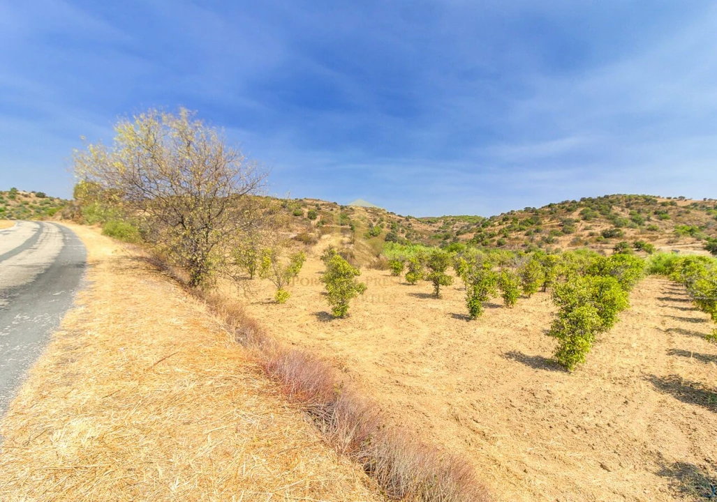 Terreno para Venda em Castro Marim Foto 35