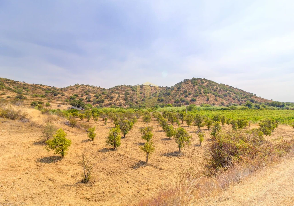 Terreno para Venda em Castro Marim Foto 36