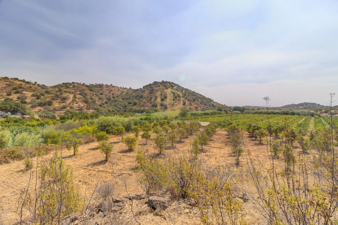 Terreno para Venda em Castro Marim Foto 37