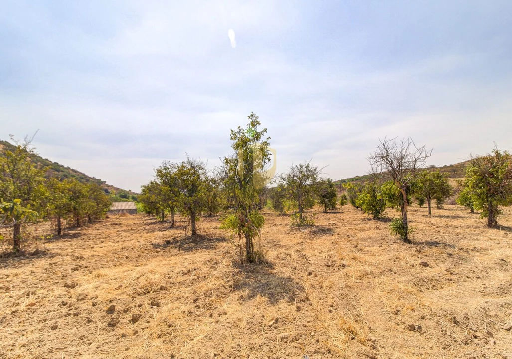 Terreno para Venda em Castro Marim Foto 38