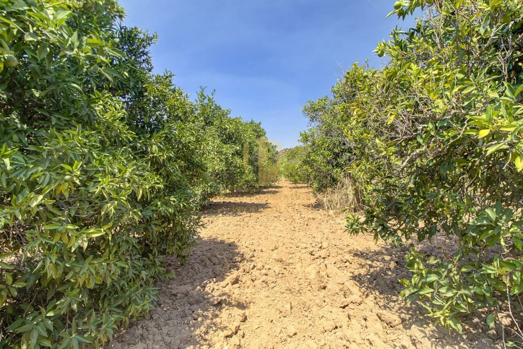 Terreno para Venda em Castro Marim Foto 44