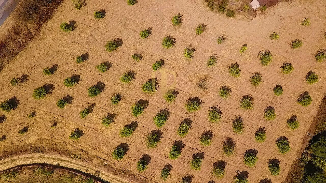 Terreno para Venda em Castro Marim Foto 34