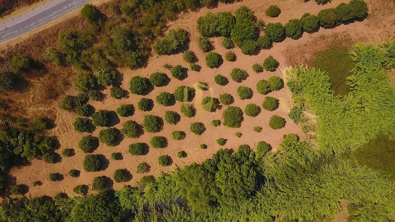 Terreno para Venda em Castro Marim Foto 41