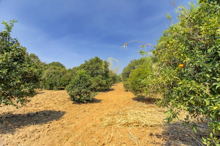 Terreno para Venda em Castro Marim Foto 43