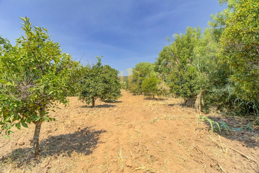 Quinta T3 para Venda em Castro Marim Foto 43