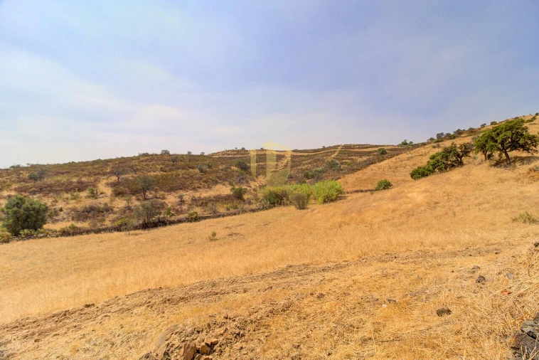 Quinta T3 para Venda em Castro Marim Foto 34