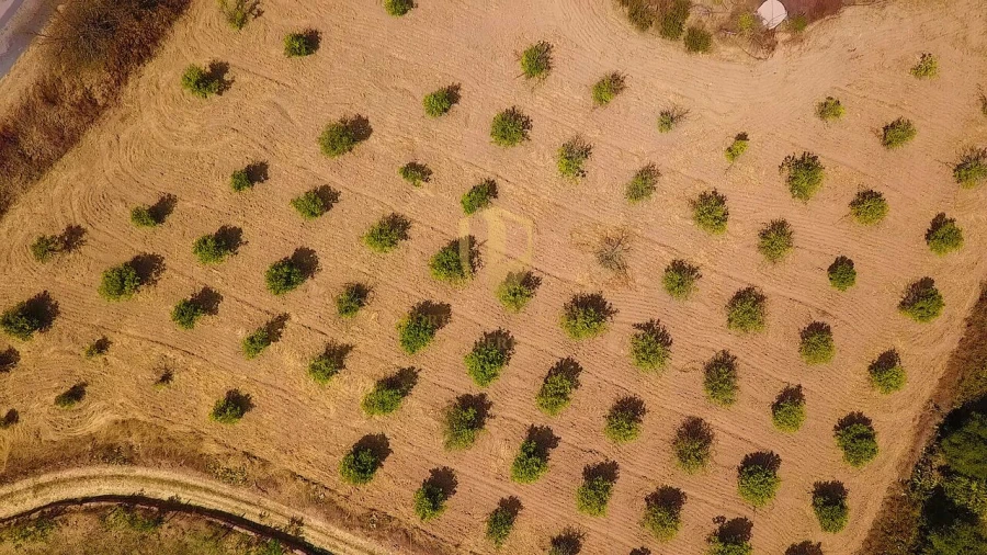 Quinta T3 para Venda em Castro Marim Foto 35