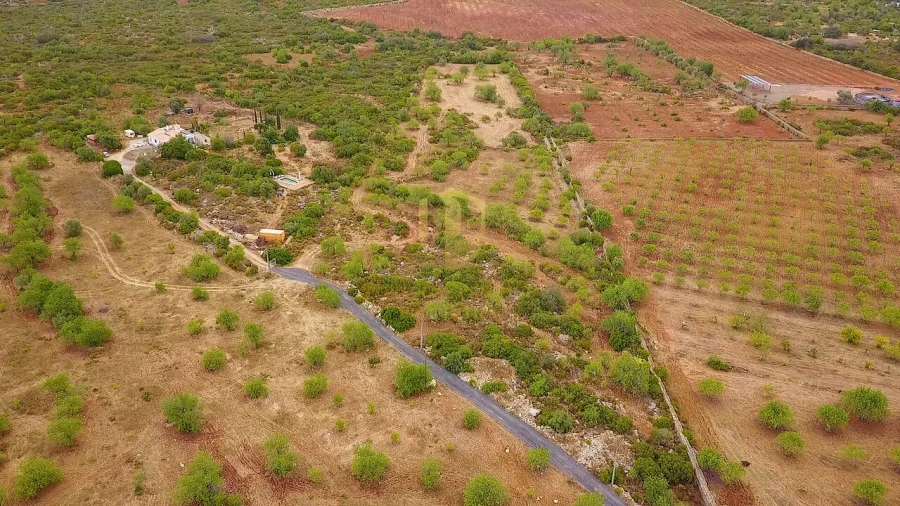 Quinta T2 para Venda em Santa Catarina da Fonte do Bispo Foto 6
