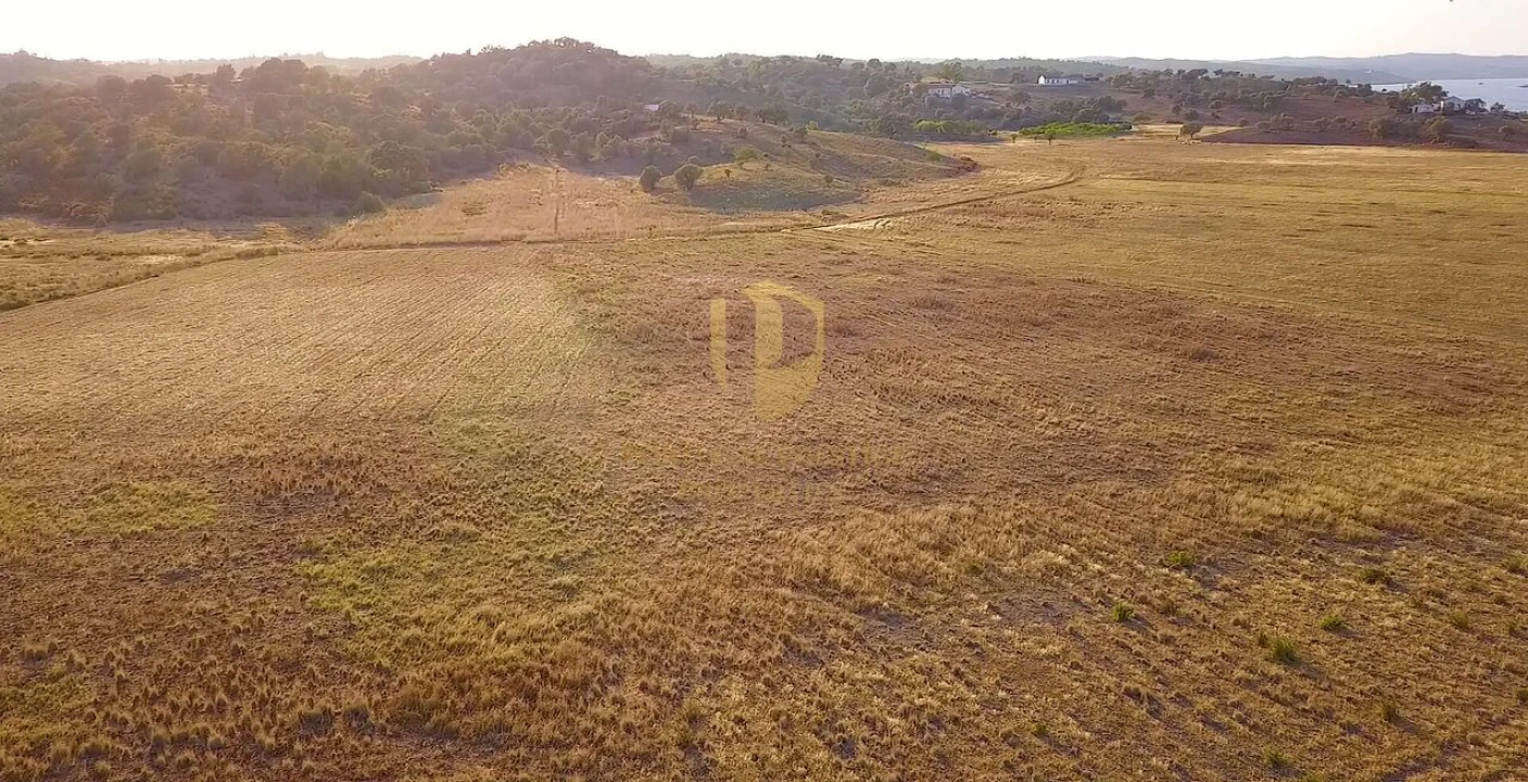 Terreno para Venda em Azinhal Foto 11