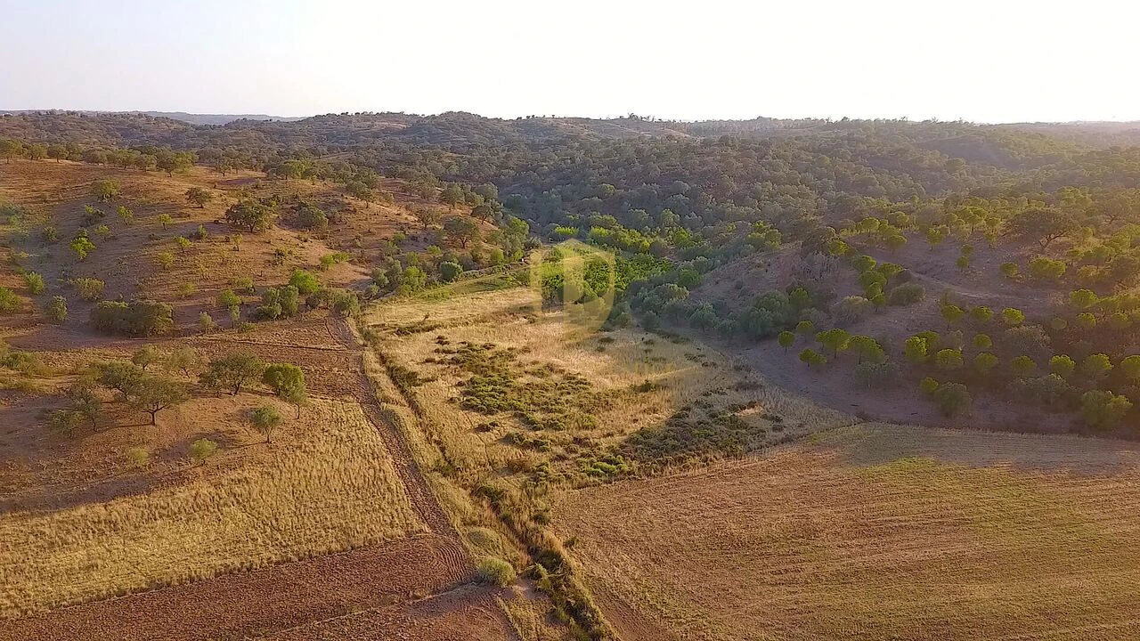 Terreno para Venda em Azinhal Foto 15