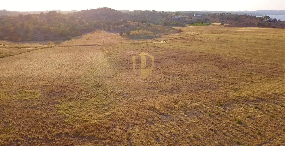 Terreno para Venda em Azinhal Foto 11