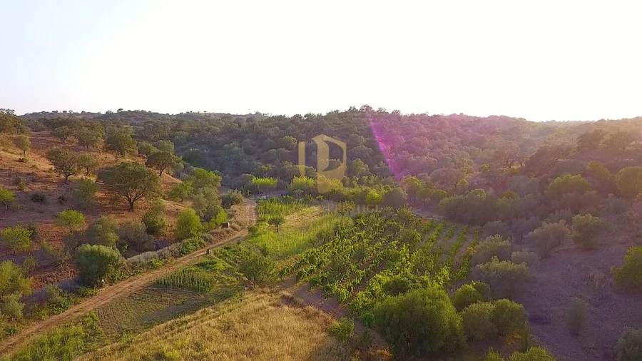 Terreno para Venda em Azinhal Foto 14