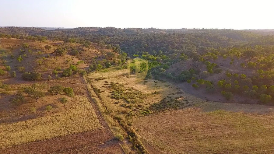 Terreno para Venda em Azinhal Foto 15