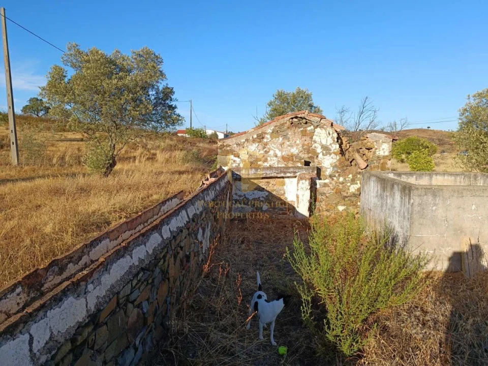 Terreno para Venda em Castro Marim Foto 9