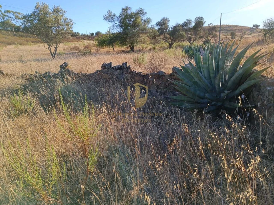 Terreno para Venda em Castro Marim Foto 12