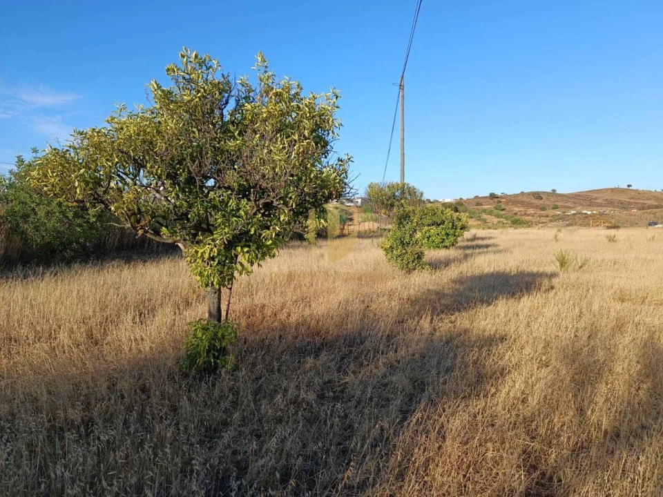 Terreno para Venda em Castro Marim Foto 14