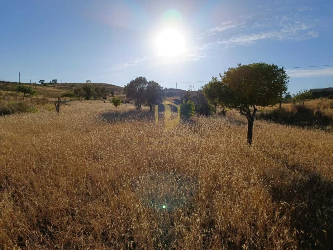 Terreno para Venda em Castro Marim Foto 5