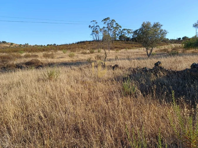 Terreno para Venda em Castro Marim Foto 13