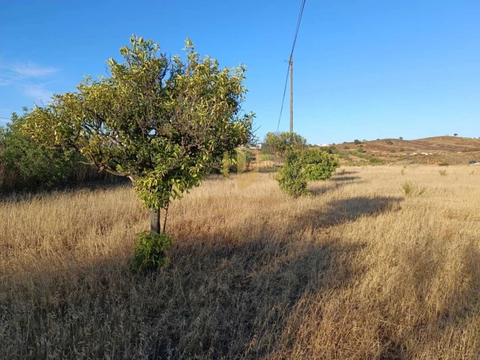 Terreno para Venda em Castro Marim Foto 14