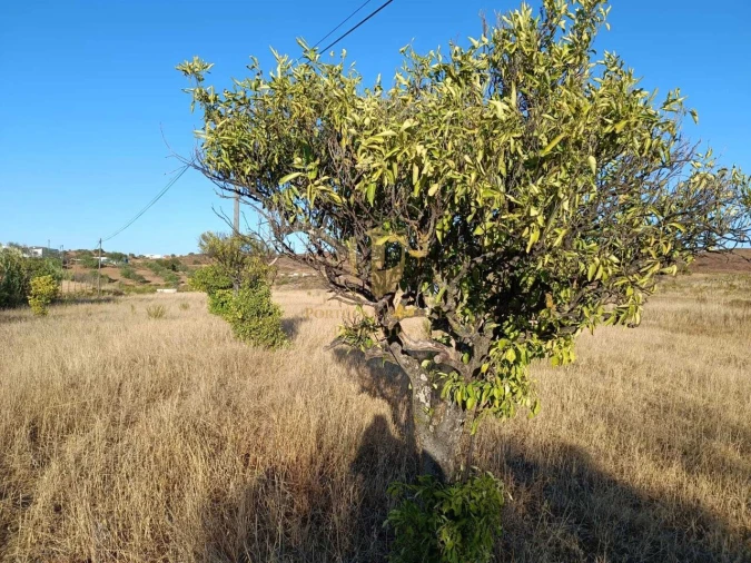 Terreno para Venda em Castro Marim Foto 22