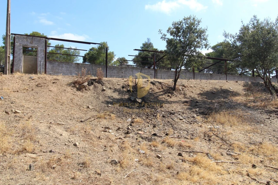 Terreno para Venda em Azinhal Foto 8