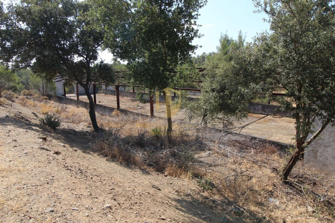 Terreno para Venda em Azinhal Foto 11