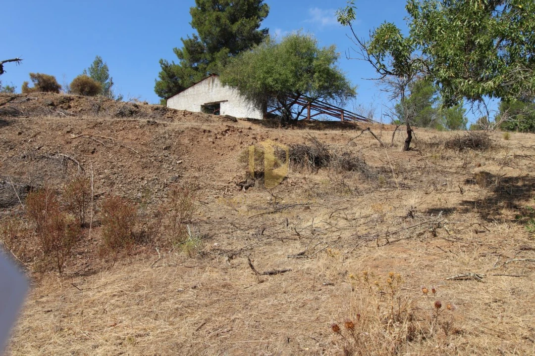 Terreno para Venda em Azinhal Foto 15