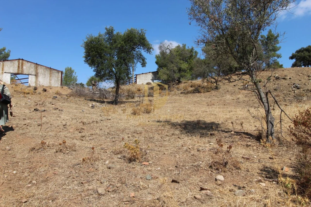 Terreno para Venda em Azinhal Foto 17